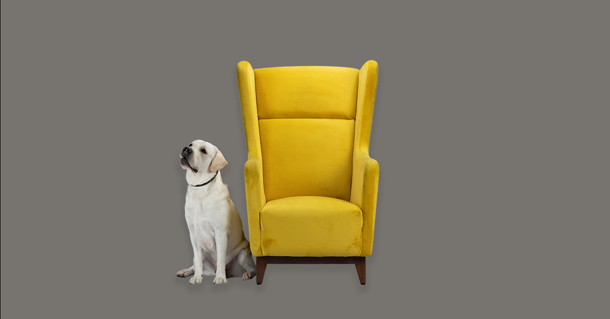 Austins Sofa Best Sofa Shops in Bangalore Luxury Sofas in Bangalore