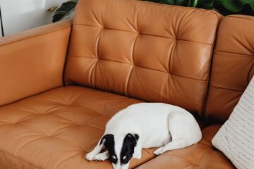 Genuine Leather Sofas in Bangalore